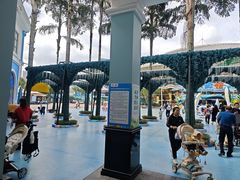 -海合安成都极地海洋公园