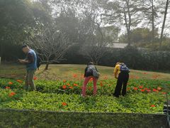 -晓港公园