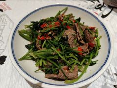 -壹盏灯(惠农店)