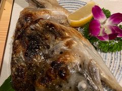 -酒井酱子·深夜食堂(东城汇店)