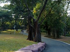 -晓港公园