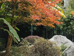 -墨池公园