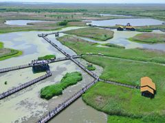 -宁波杭州湾国家湿地公园