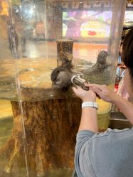 -Zoolung Zoolung动物主题公园(海信广场店)