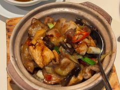 泡椒腩肉焖老豆腐-利苑酒家(华熙国际店)