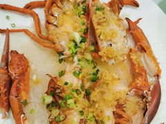 龙虾-东方之珠海鲜酒楼(南开店)