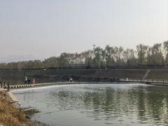 -洨河生态公园