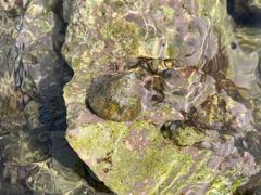 -三亚鹿回头高尔夫球会-停车场