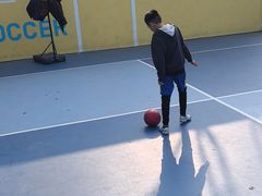 -金地丰盛道