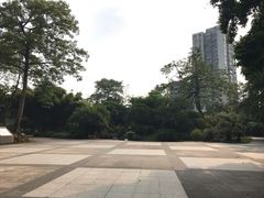 -晓港公园
