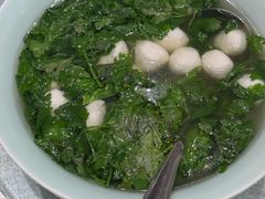 -丁老爷子苏香圆