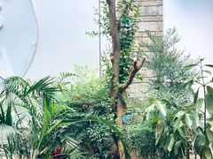 -马家大院