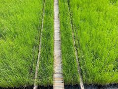 -河北村民俗体验园