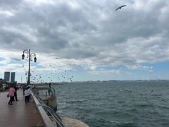 -东港音乐喷泉广场