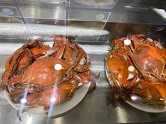 -潮庭·大连海鲜·炭火烧烤·扇贝王(大连店)
