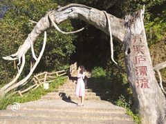 -龙岩森林水乡景区