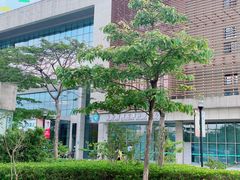 -南方医科大学深圳医院