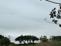 -深圳湾公园(南山区)