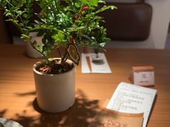 -CURRY YA 熟成咖哩專門店(深圳湾万象城店)