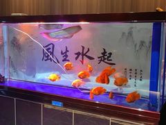 -舞指仙境港派足浴指压(金龙国际店)