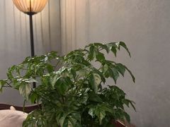 -恬阿姨庭院餐厅·生日宴