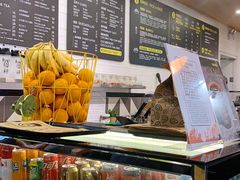 -油梨树 AVOCADO TREE(亮马桥店)