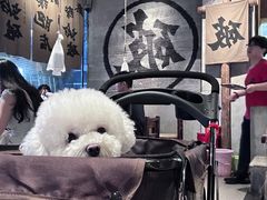 -破店肥哈·海鲜·烧烤(郑州银泰inPARK店)