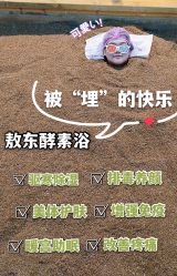 -敖东酵素·离子暖房