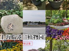 -上海鲜花港