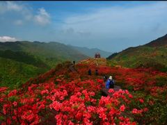 -大围山国家森林公园