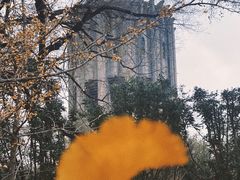 -万泉公园