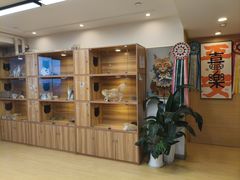 -猫十亿·布偶金渐层·曼基康矮脚猫舍(青年路店)