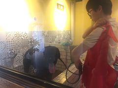 -西元前宠物酒店(郑庄府邸店)