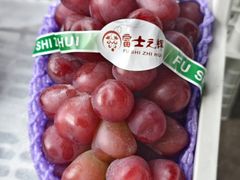 -马陆小张葡萄园农家乐