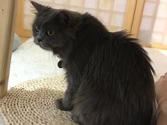 -小时光咖啡馆(开森度假森林店)