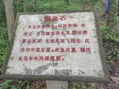 -上海佘山国家森林公园天马山园