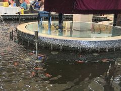 -碧中海汤泉汗蒸酒店