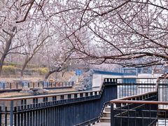 -安定门(地铁站)