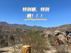 -白水寺森林公园
