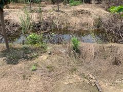 -塘栖枇杷特色园区