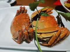 -0574龙虾的故事(东裕店)