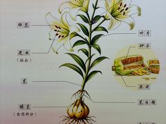 -中国农业博物馆