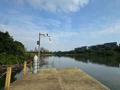 -华侨城湿地公园
