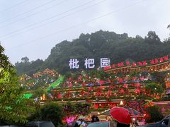-枇杷园食为鲜火锅(南山店)