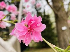 -国家植物园