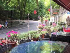 -国生茶庄·地道农家菜团建活动