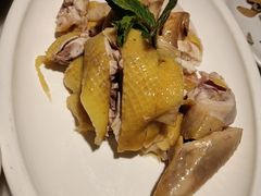 -佬肥猫(国华广场店)