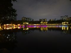 -荔湾湖公园