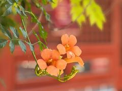 -承恩寺