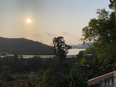 -深圳仙湖植物园